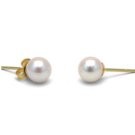 14k Gold White Akoya Pearl Stud Earrings 6.5-7 mm AA+ or AAA