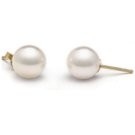 14k Gold White Akoya Pearl Stud Earrings 9-9.5 mm AA+ or AAA