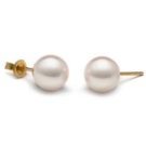 14k Gold White Akoya Pearl Stud Earrings 8-8.5 mm AA+ or AAA