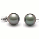 14k Gold Black Tahitian Pearl Stud Earrings 10-11 mm AA+ or AAA