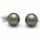 14k Gold Black Tahitian Pearl Stud Earrings 12-13 mm AA+ or AAA