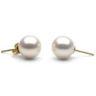 14k Gold Freshwater Pearl Stud Earrings white 9-10 mm round AAA