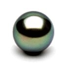 Loose Round Tahitian Pearl size from 8-9 mm AA+ or AAA