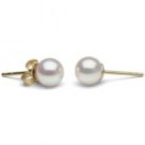 14k Gold White Akoya Pearl Stud Earrings 6-6.5 mm AA+ or AAA