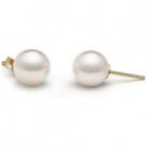 14k Gold White Akoya Pearl Stud Earrings 8.5-9 mm AA+ or AAA