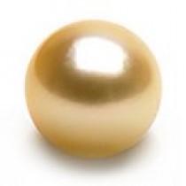 Loose Golden South Sea Pearl from 9-10 mm AAA