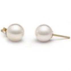 14k Gold White Akoya Pearl Stud Earrings 8.5-9 mm AA+ or AAA