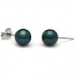 14k Gold Black Akoya Pearl Stud Earrings 7-7.5 mm AA+ or AAA