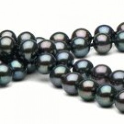 Black Double Strand Freshwater Pearl Necklace 6-7 mm